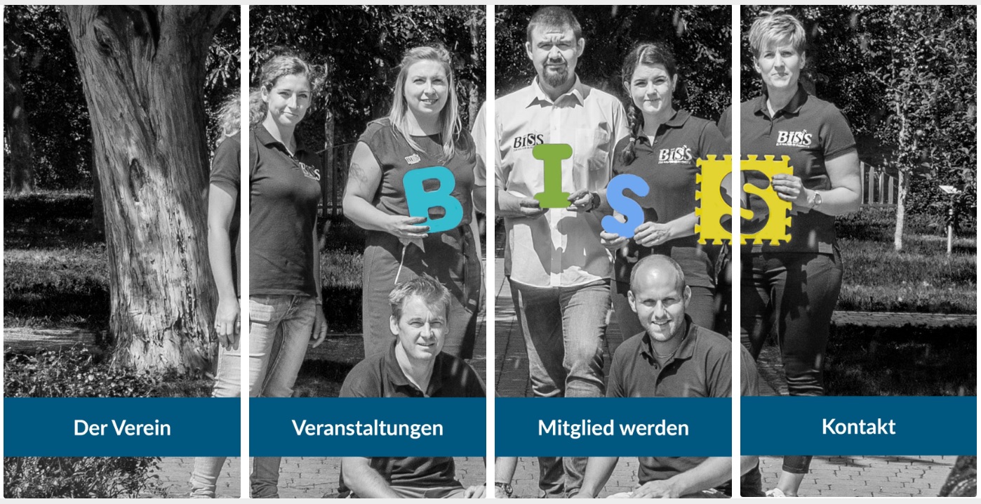 Mit_BiSS_sw1